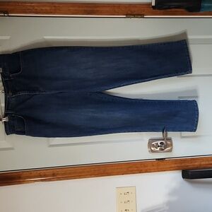 Style & Co. Woman's Dark Blue Straight Leg Sz 14 S.
